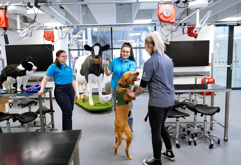 1. University of Central Lancashire Vet Greenbank refurb 1