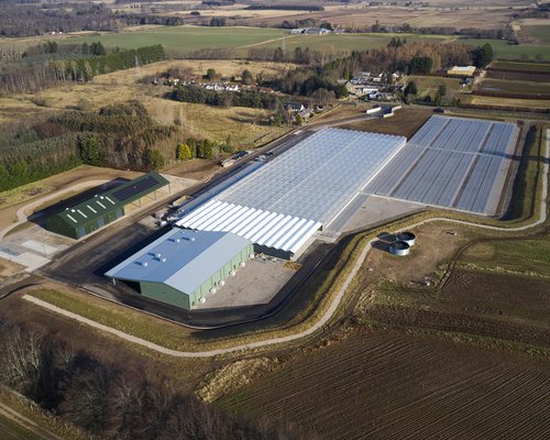 17225 Newton Nursery 123