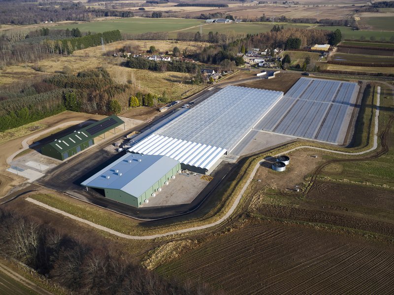 17225 Newton Nursery 123