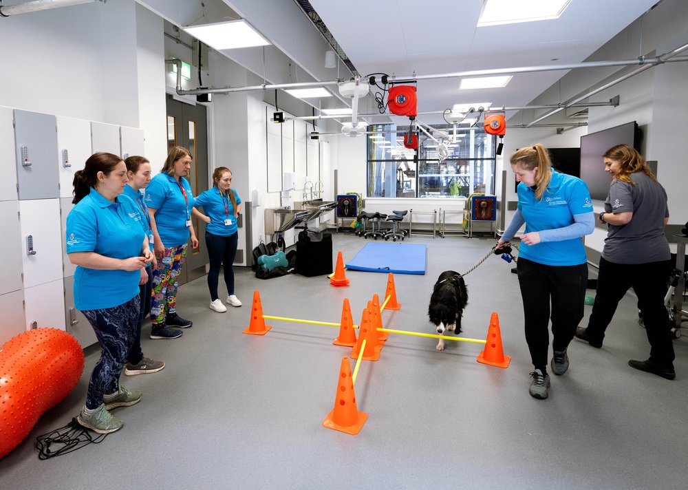 2. University of Central Lancashire Vet Greenbank refurb 2