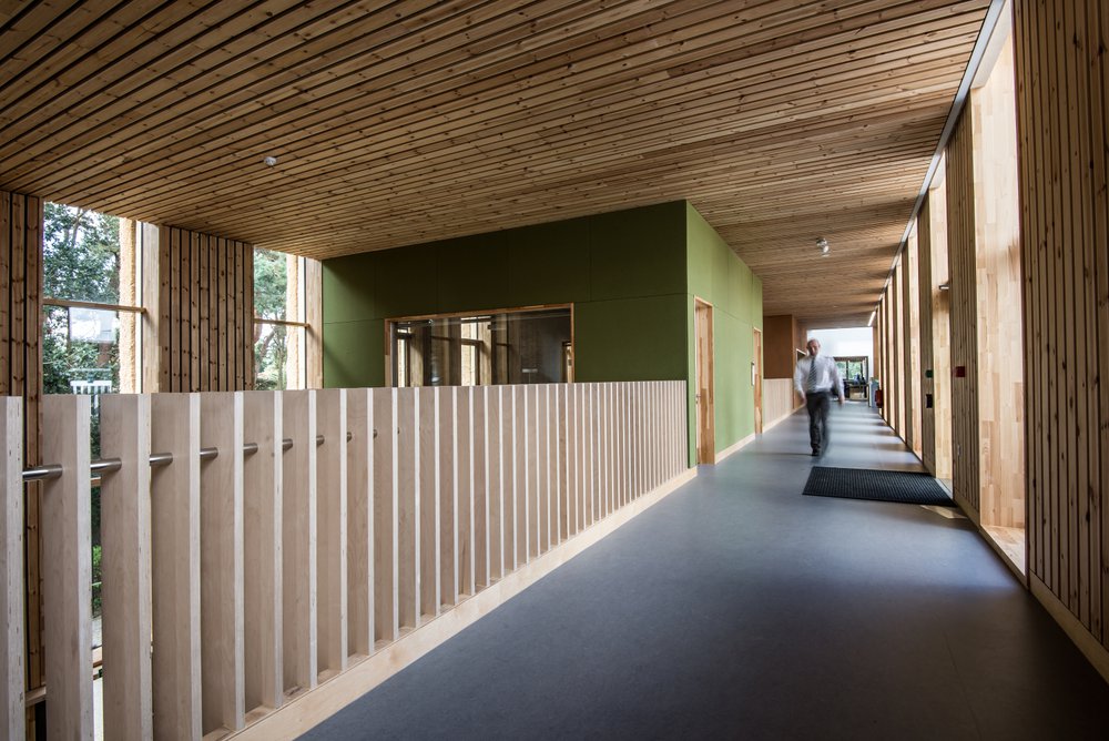 Image of a corridor within the Enterprise Centre which features a lot of local wood as part of the design