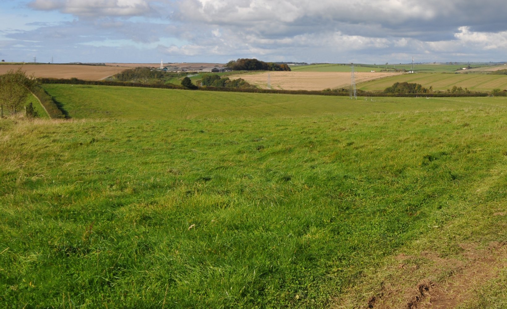 A view of the Dorset countryside on a sunny day.