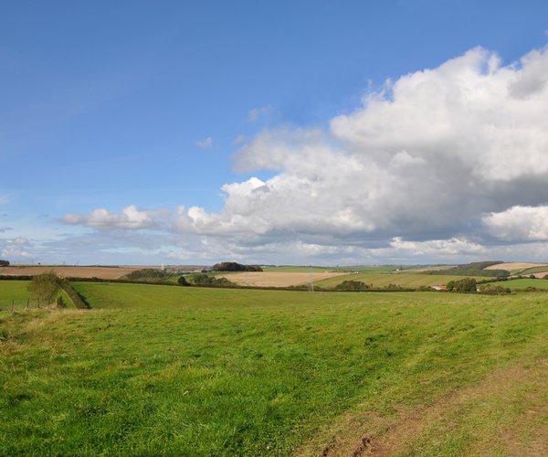 A view of the Dorset countryside on a sunny day.