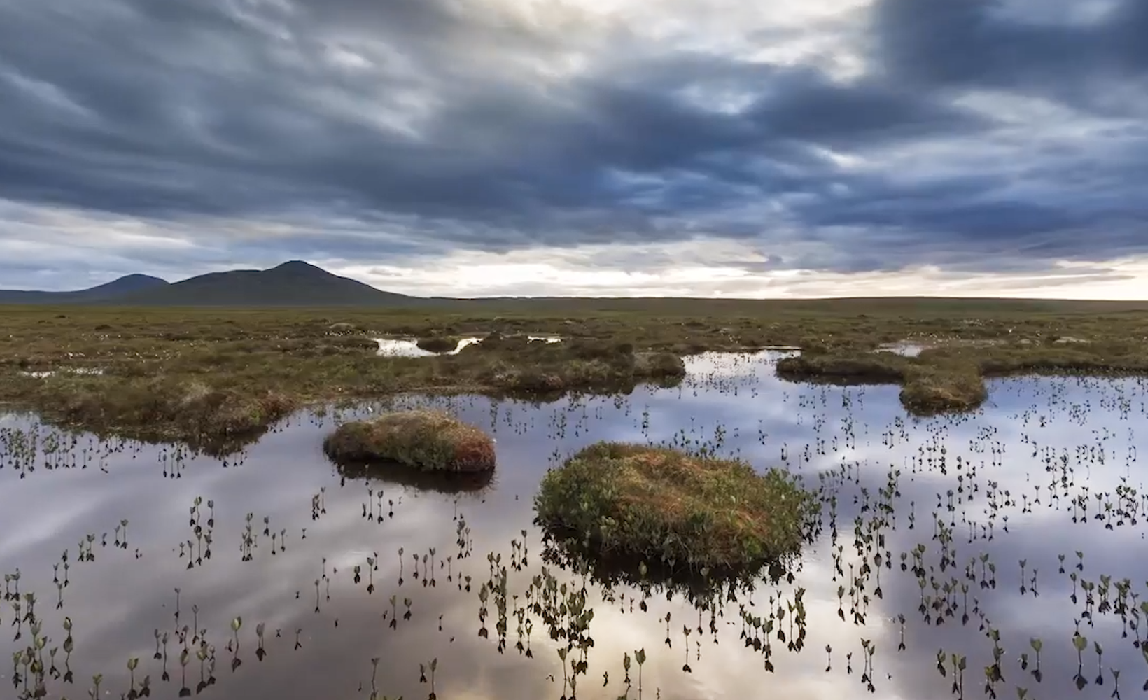 A photograph of the Great North Bog showing damaged, bare peat areas taken before completion of the peatland restoration programme