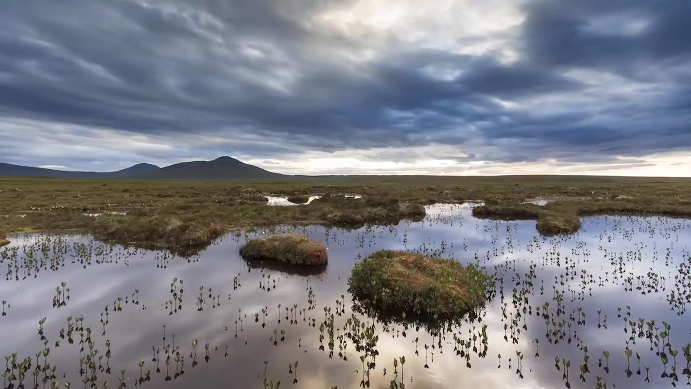 A photograph of the Great North Bog showing damaged, bare peat areas taken before completion of the peatland restoration programme