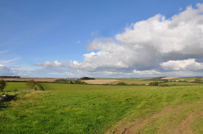 A view of the Dorset countryside on a sunny day.